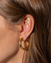 Load image into Gallery viewer, Terry Gold Hoop Earrings Medium