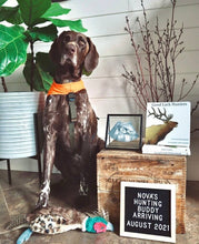 Load image into Gallery viewer, Good Luck Hunters Children&#39;s Book