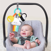 Load image into Gallery viewer, Bitzy Busy Ring™ Teething Activity Toy