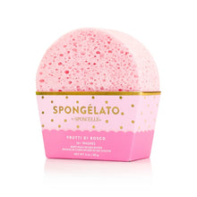 Load image into Gallery viewer, Spongelato Collection