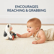 Load image into Gallery viewer, Carmen The Cow - Itzy Bitzy Mirror™ Travel + Tummy Time Toy
