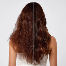 Load image into Gallery viewer, Repairing Argan Oil Conditioner