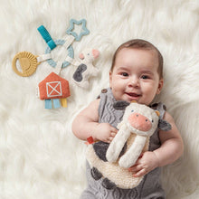Load image into Gallery viewer, Bitzy Busy Ring™ Teething Activity Toy