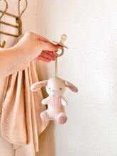 Load image into Gallery viewer, Bitzy Pal Natural Rubber Pacifier &amp; Plush