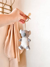 Load image into Gallery viewer, Bitzy Pal Natural Rubber Pacifier &amp; Plush