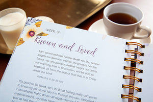 A Time for Everything (Journal)