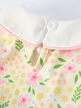 Load image into Gallery viewer, Easter Bunny Embroidery Smocking Cute Baby Girls Dress