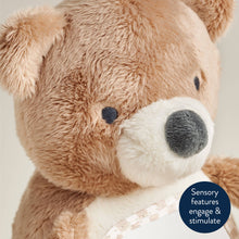 Load image into Gallery viewer, Theo The Bear - Itzy Bitzy Mirror™