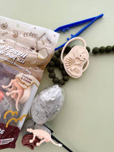 Load image into Gallery viewer, Dino Fossil Dig KidDough Play Kit