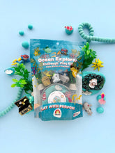 Load image into Gallery viewer, Ocean Explorer KidDough Play Kit