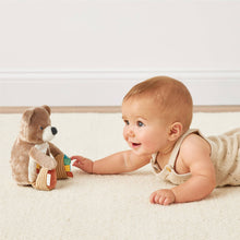 Load image into Gallery viewer, Theo The Bear - Itzy Bitzy Mirror™