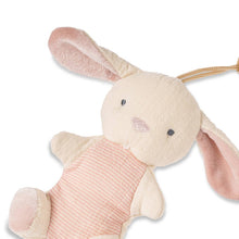 Load image into Gallery viewer, Bitzy Pal Natural Rubber Pacifier &amp; Plush