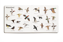 Load image into Gallery viewer, The Big Book of Hunting