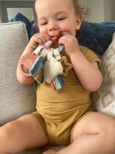 Load image into Gallery viewer, Bitzy Busy Ring™ Teething Activity Toy