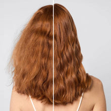 Load image into Gallery viewer, Repairing Argan Oil Conditioner